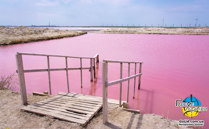 лемурийское розовое озеро херсон тур выходного дня